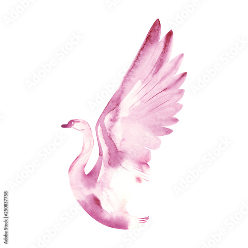 Watercolor illustration of ...