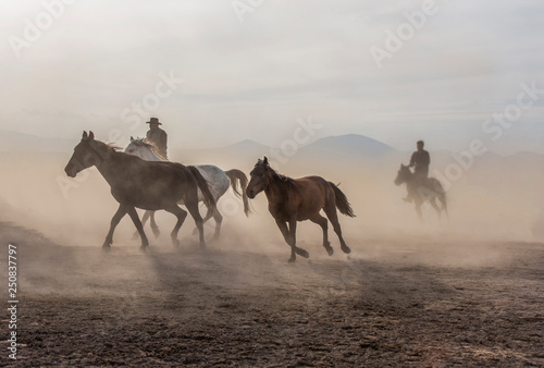 the cowboy who tamed horses  dust and smoke