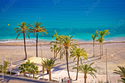Palm and sand beach im Menton on French Riviera