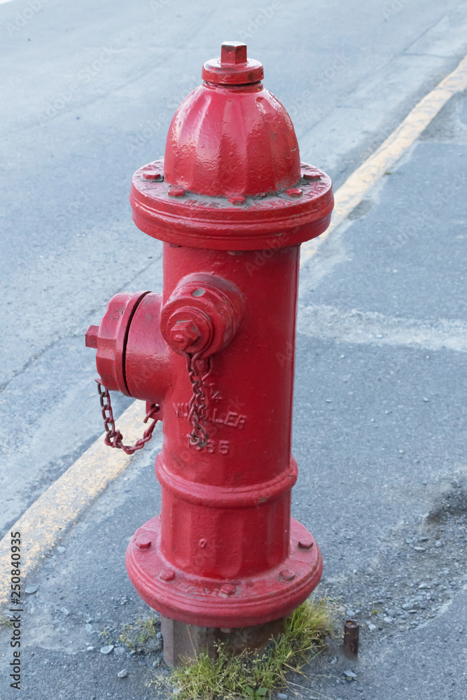 カラフルな消火栓　 outdoor fire hydrant