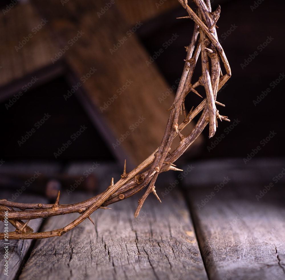 Closeup of Crown of Thorns