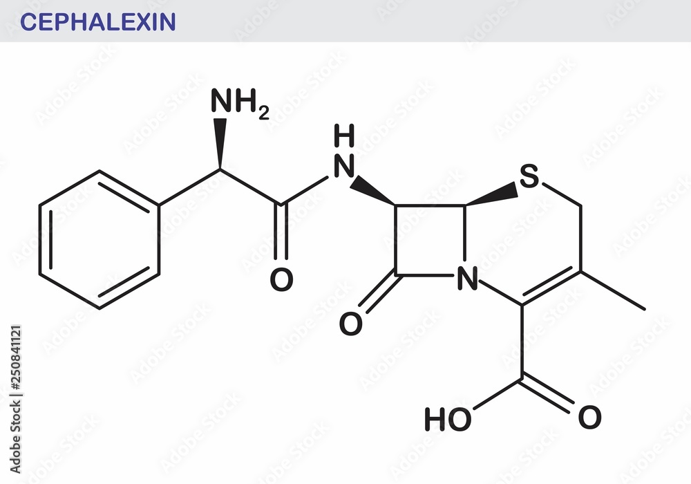 Cephalexin formula illustration Cephalexin formula illustration