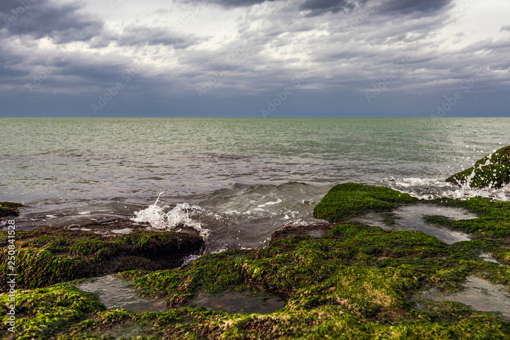 Colorful sea shore with green algae at cloudy weather