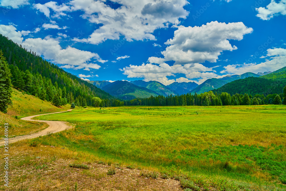 Fototapeta premium Alpine Meadow With Mountains