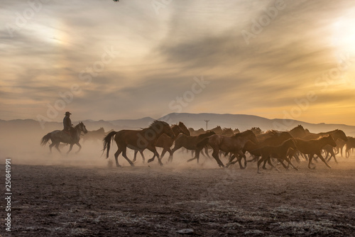 The cowboy who tamed horses at sunset