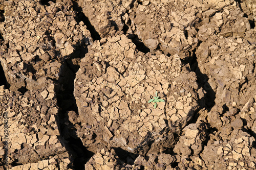 the earth cracked in the shape of a heart in Tanzania Africa