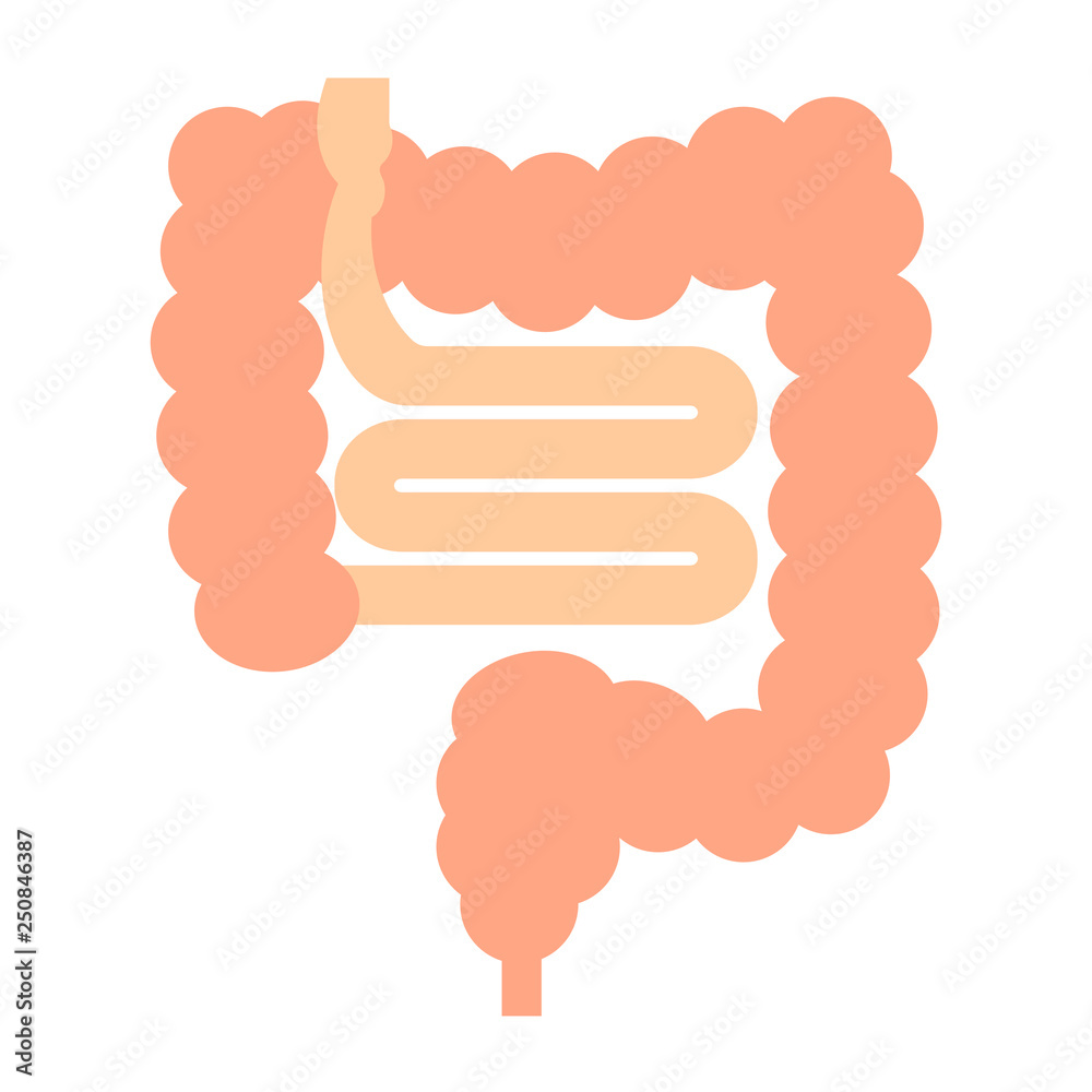 大腸と小腸 大腸と小腸