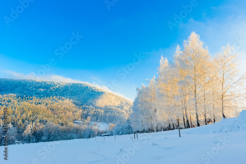 Winter scenery of trees and mountains