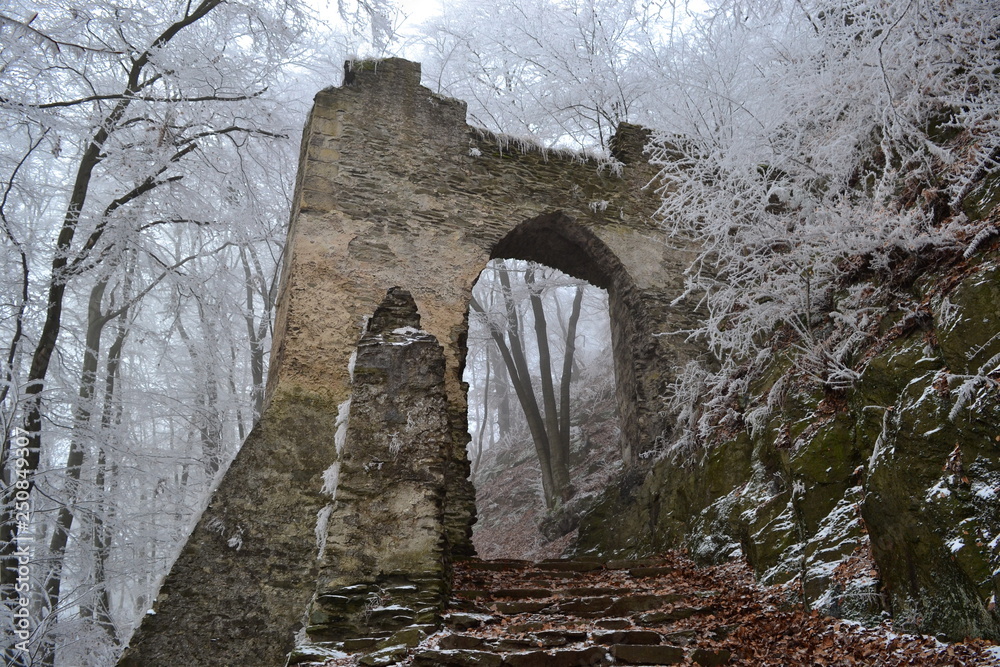 Medieval stone gate to castle, Czech republic, Bezdez
