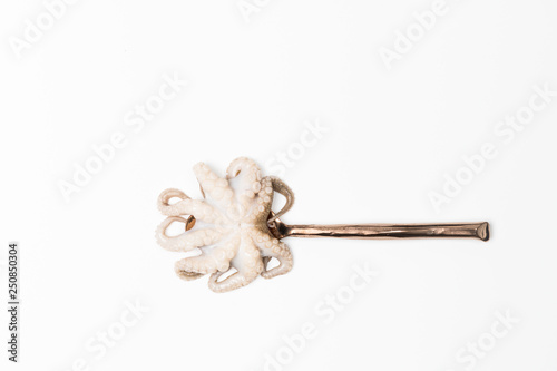 Baby Octopus on Spoon 