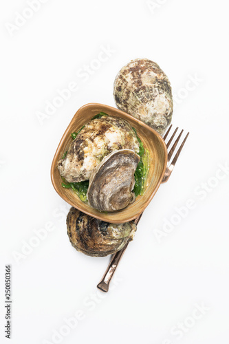 Oysters on White 