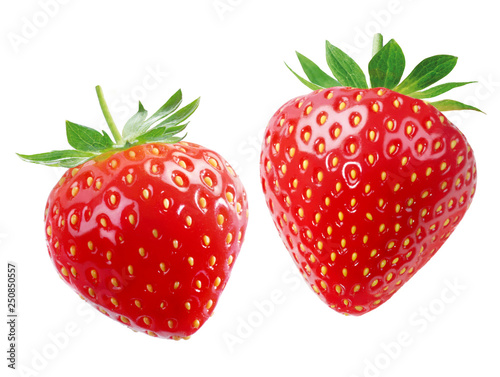 Zwei Erdbeeren vor weißem Hintergrund
