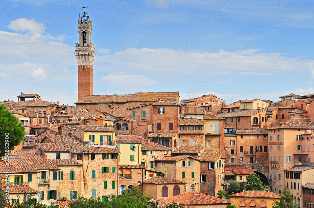 View over the old town towards the Torre del Mangia on the Palazzo Publico, Siena, Tuscany, Italy.
