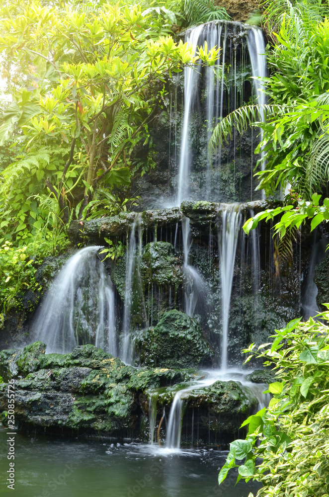 The Home-Scale Forest Garden