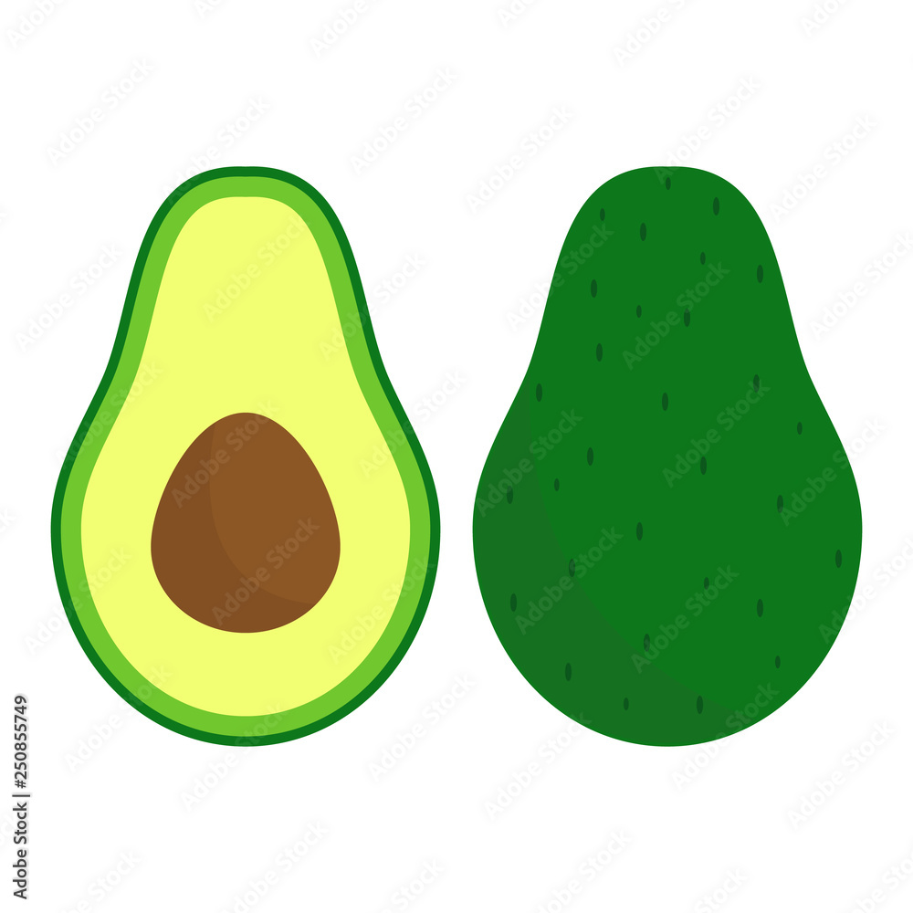 Vector fresh fruit avocado isolated on the white background Vector fresh fruit avocado isolated on the white background