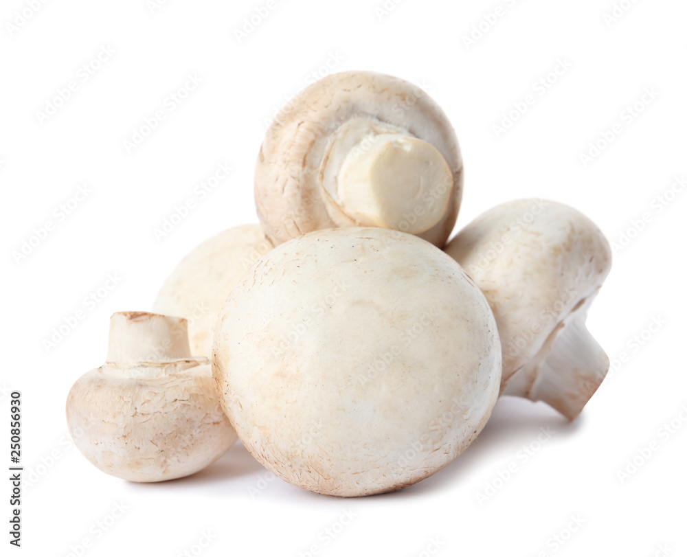 Fresh champignon mushrooms isolated on white. Healthy food Fresh champignon mushrooms isolated on white. Healthy food