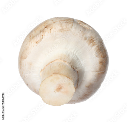 Fresh champignon mushroom isolated on white. Healthy food