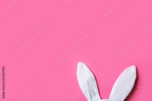 Funny Easter bunny ears on color background, top view with space for text