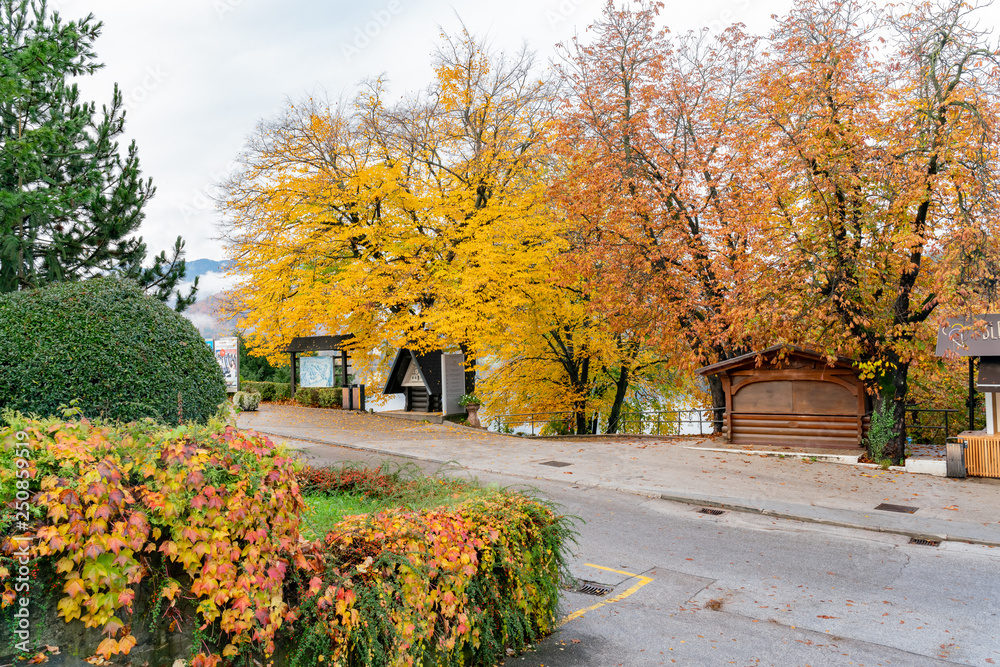 Naklejka premium Beautiful autumn landscape around Lake Bled
