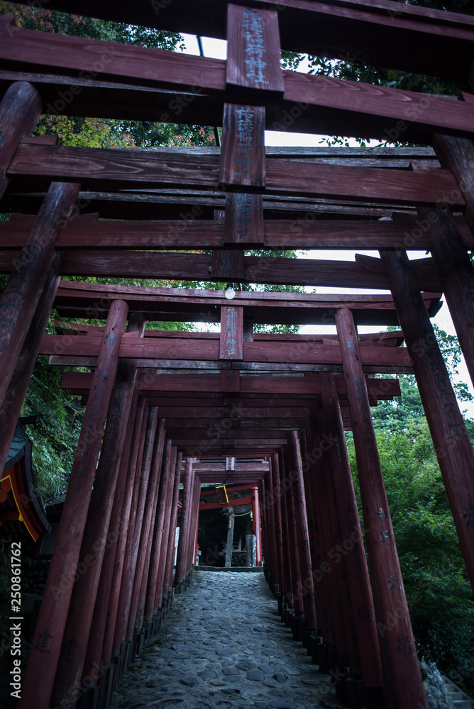 鳥居 鳥居