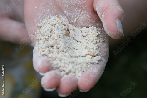 coarse milled flour held in hand