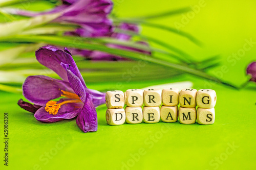  Spring dreams. Background with spring flowers and birdhouse, there is an inscription in black letters on the cubes.  Bright green background with an inscription dream, near flowers and a nesting box