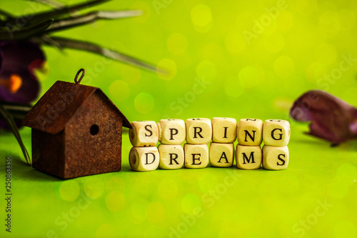  Spring dreams. Background with spring flowers and birdhouse, there is an inscription in black letters on the cubes. Bright green background with an inscription dream, near flowers and a nesting box