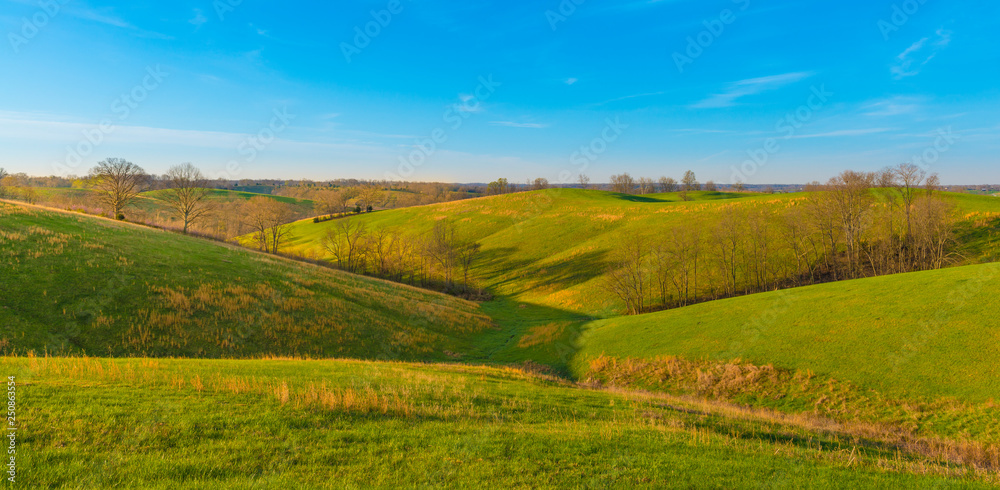 Judy Ridge, Harrison Co. KY