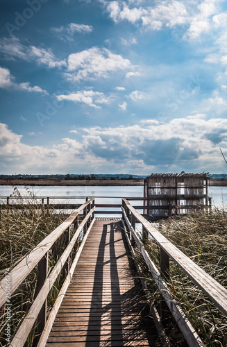 Fototapeta Naklejka Na Ścianę i Meble -  wooden footbridge near the pond