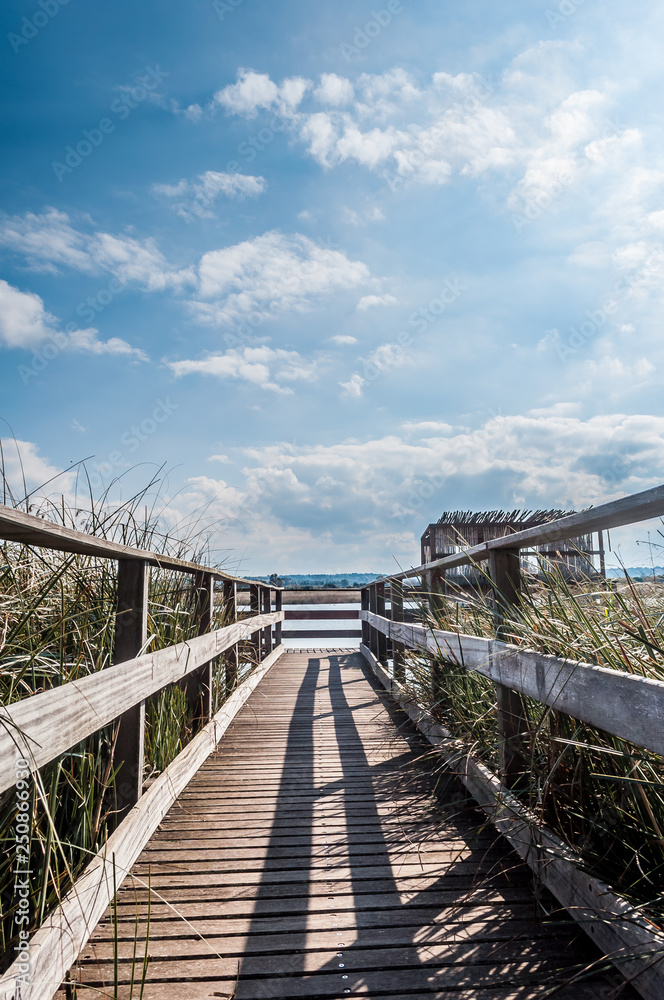 wooden footbridge near the pond