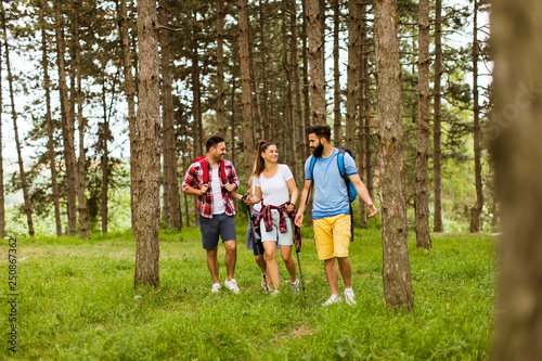 Group of four friends hiking together through a forest © BGStock72