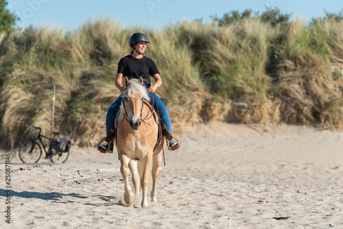 girl riding on haflinger horse on th beach