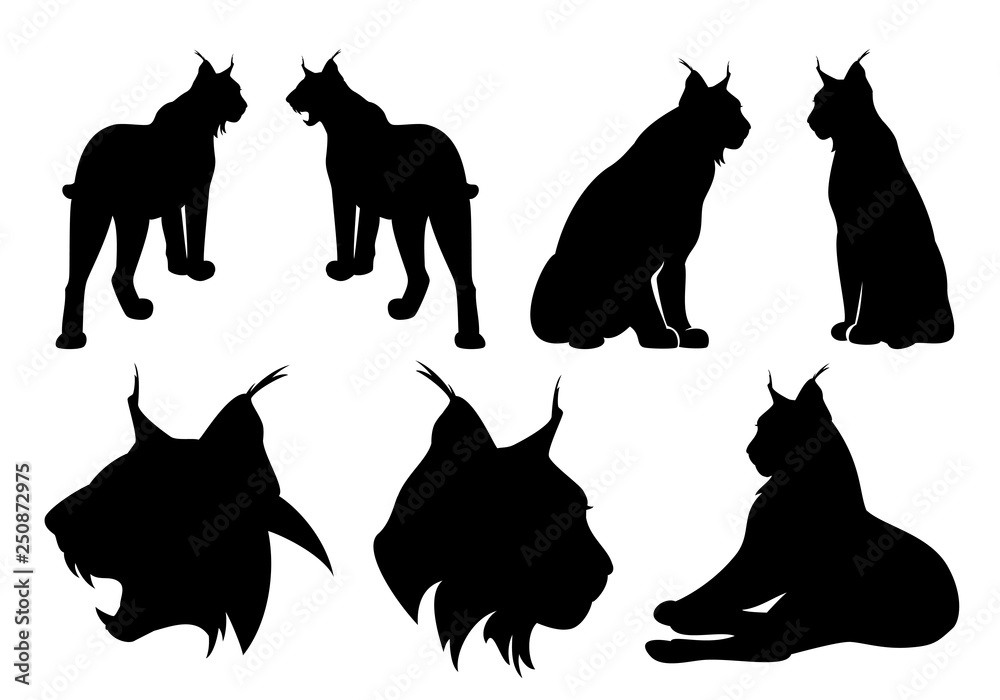 wild lynx cats black vector silhouette set - standing, sitting and roaring animal outlines and heads