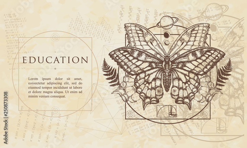 Education. Magic butterfly. Renaissance background. Medieval manuscript, engraving art © intueri
