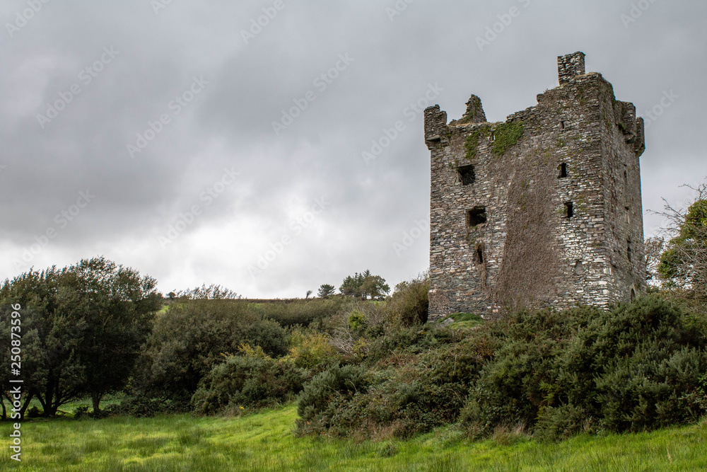  Ballinvard Castle, also known as Rossmore, lies in a field in the townland of Rossmore, in County Cork in Ireland.