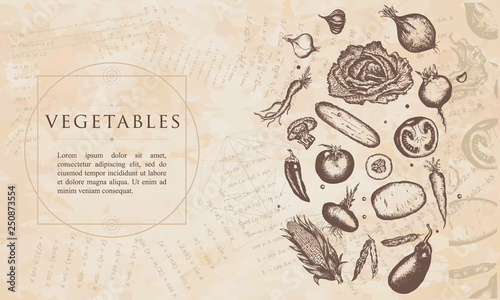 Vegetables. Renaissance background. Medieval manuscript, engraving art