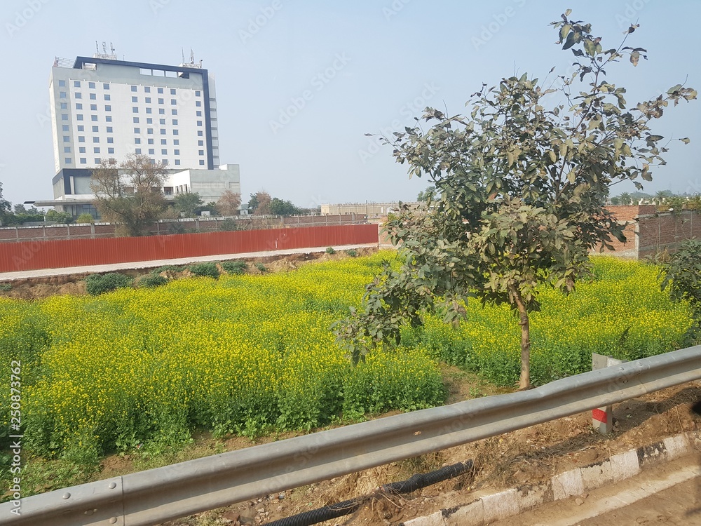 Fototapeta premium builiding near farm