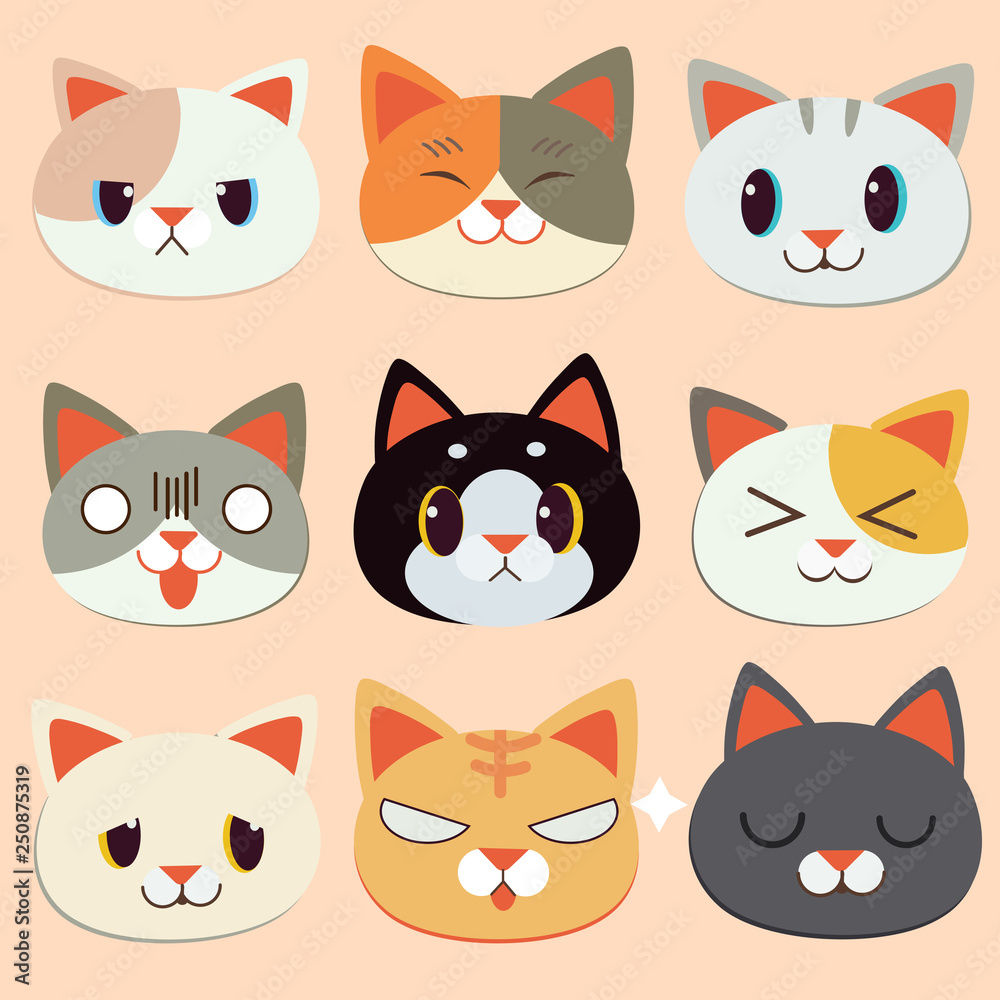 cat emotion face cat emotion face