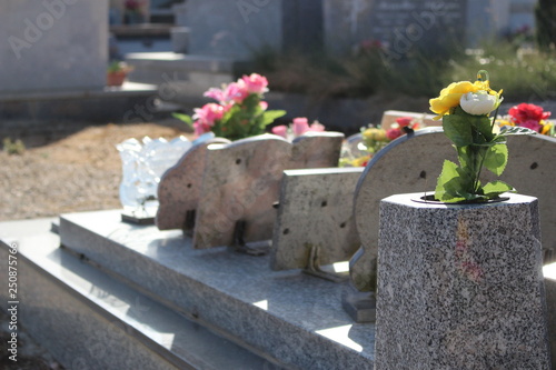 épidémie , virus , cimetière