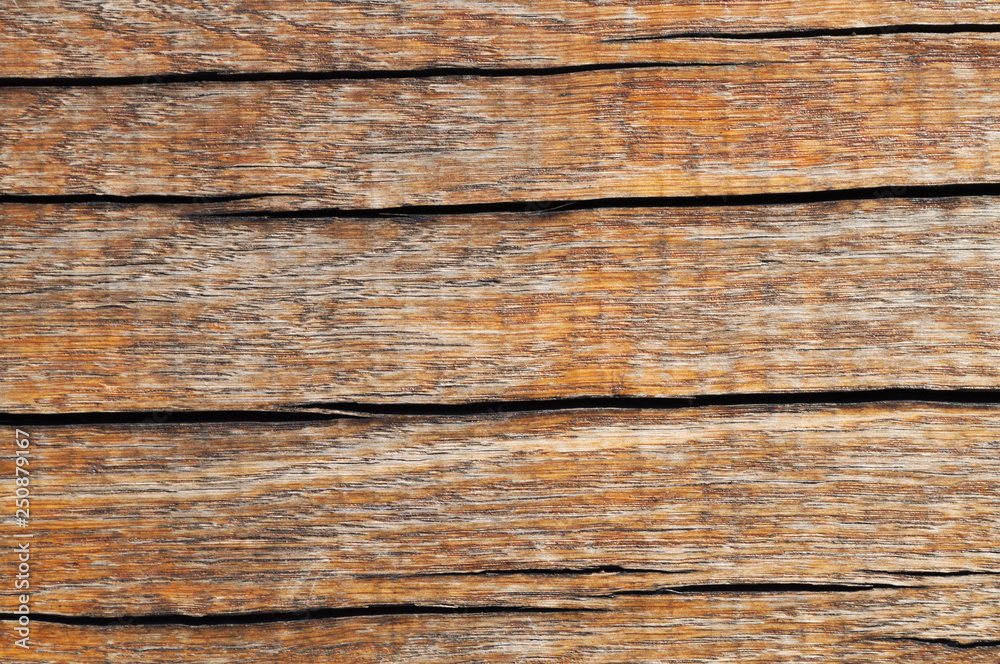 Fototapeta premium Texture of cracked polished wood