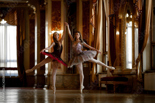 Two beautiful ballerinas dancing in a luxurious hall.