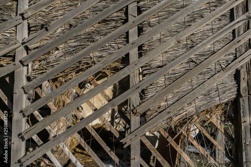 texture of the old house of reeds