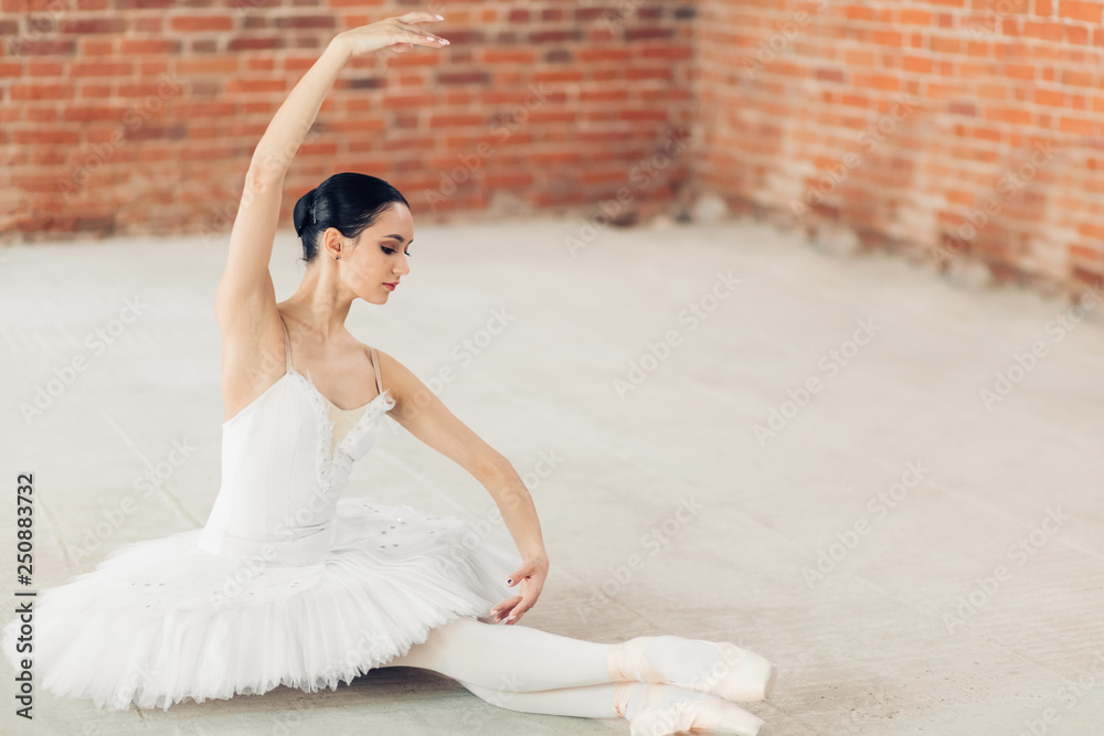 beautiful trained ballet dancer. performance dance. admiration and adore. copy space