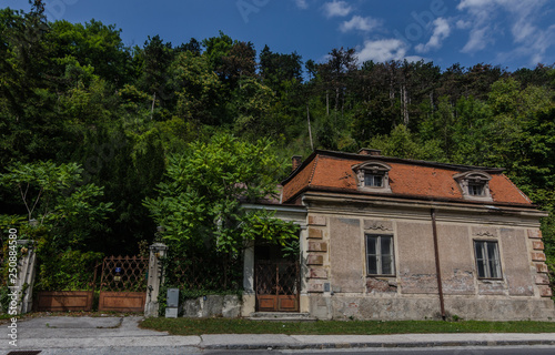 verwachsenes haus am waldrand