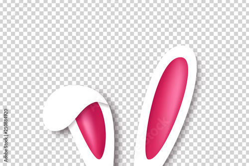 Obraz na plátně Vector realistic isolated bunny ears for template and layout decoration on the transparent background