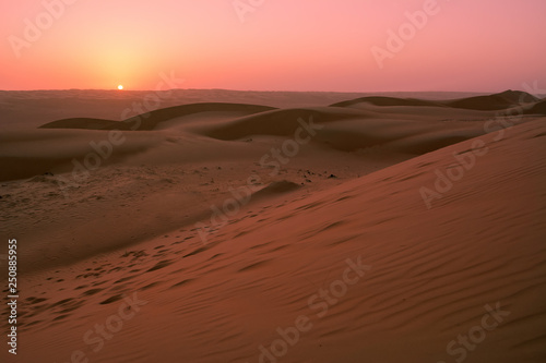 Dunes of the Wahiba Sand Desert at dawn  Oman 