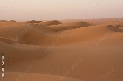 Fototapeta Naklejka Na Ścianę i Meble -  Dunes of the Wahiba Sand Desert at dawn (Oman)
