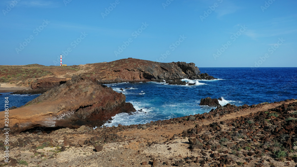 Most typical coastal landscape of the southern part of Tenerife island showing a very arid volcanic terrain with strong frothy waves and crystal clean ocean and sunny clear skies all year round, Spain Most typical coastal landscape of the southern part of Tenerife island showing a very arid volcanic terrain with strong frothy waves and crystal clean ocean and sunny clear skies all year round, Spain