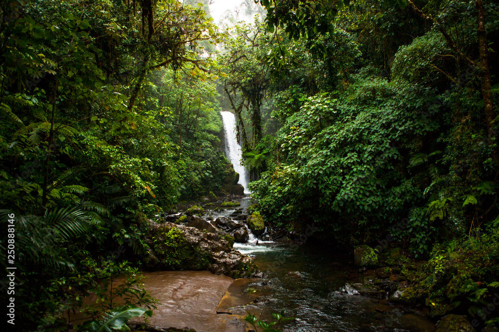  La Paz Waterfall Garden, Central Valley, Costa Rica