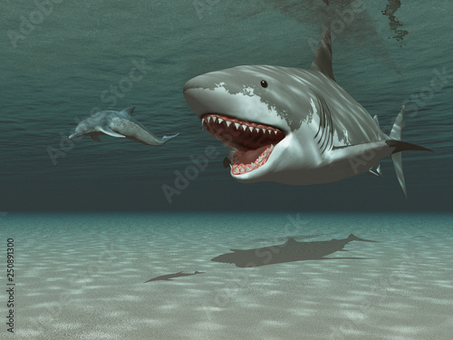 Photography Megalodon chasing a kentriodon